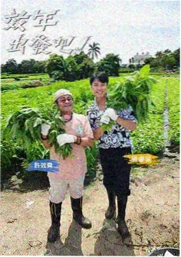 战地纪实专题 前线实录